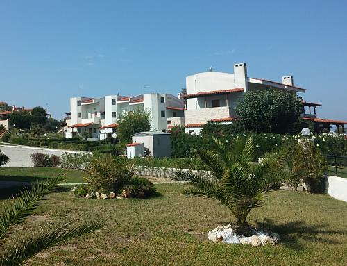     
:    - -.jpg
: 1113
:	95.6 
ID:	616