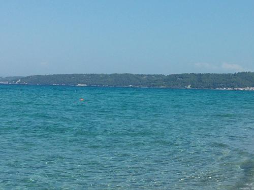     
:  .jpg
: 1161
:	92.1 
ID:	618