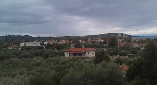     
: -   .jpg
: 1094
:	46.1 
ID:	619