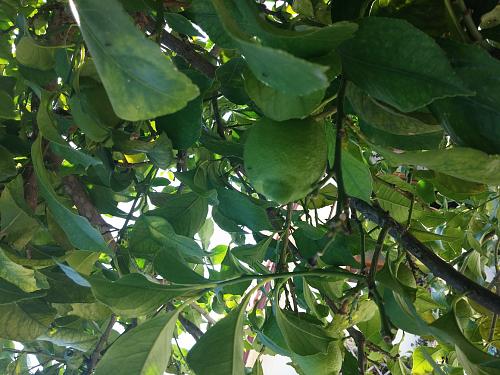     
:    .jpg
: 1013
:	95.0 
ID:	624