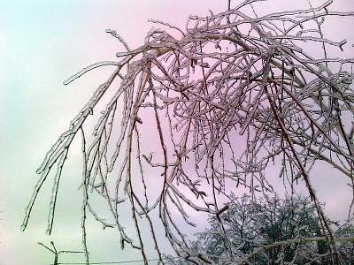     
:   .jpg
: 965
:	92.3 
ID:	79