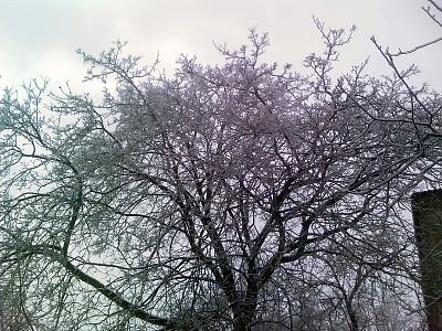     
:    .jpg
: 921
:	103.6 
ID:	81