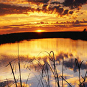 ������ ��� CRAZY Pvinci