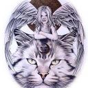 ������ ��� ������ ������