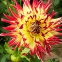 ������ ��� Wladimir Movkg